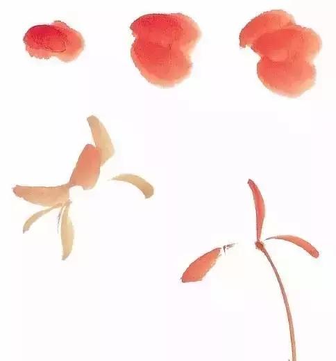 果果小写意牡丹画法教学视频,王绣写意牡丹画法零基础视频