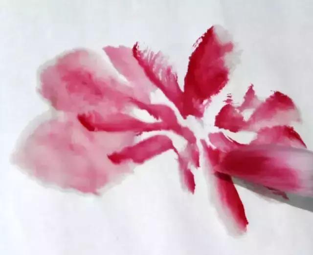 果果小写意牡丹画法教学视频,王绣写意牡丹画法零基础视频