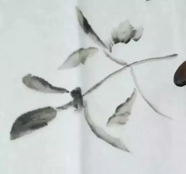 果果小写意牡丹画法教学视频,王绣写意牡丹画法零基础视频