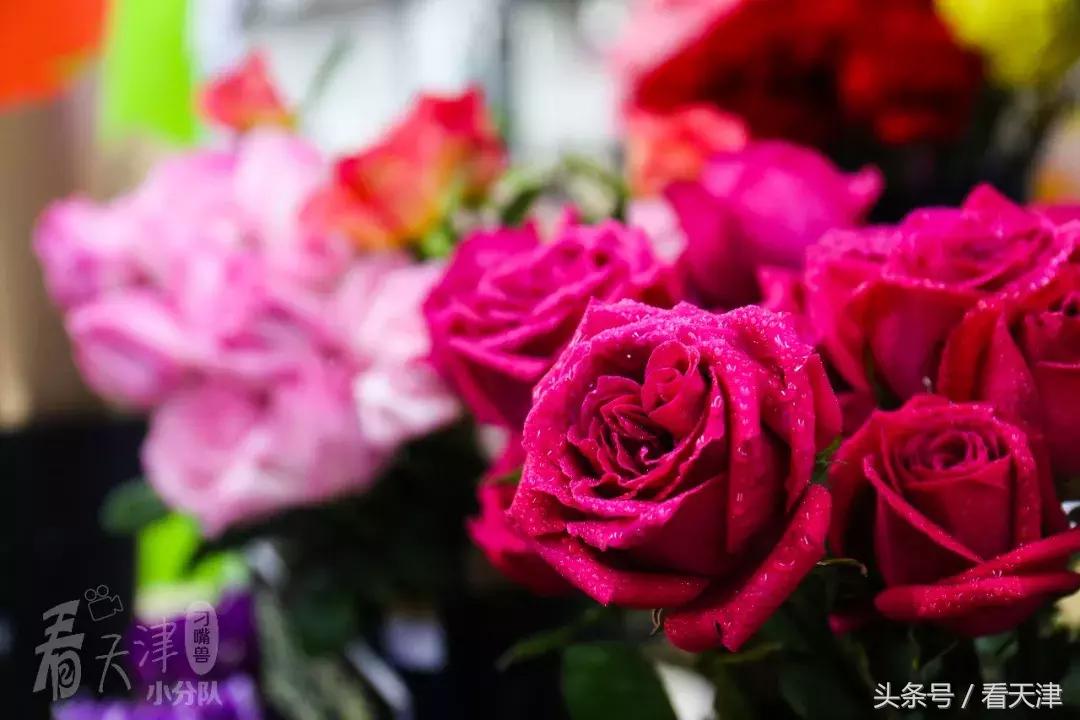 天津超级大市集,天津大胡同年货市场