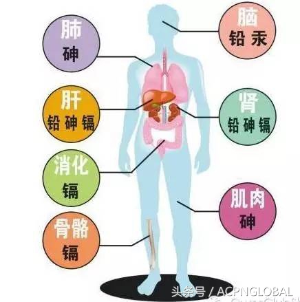 农田重金属超标对人体有啥危害,空气中的重金属超标有哪些危害