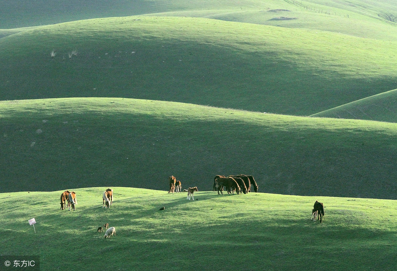 疆内有什么好景区,行疆旅游自驾
