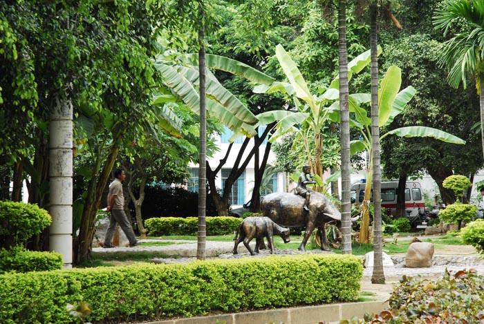 西双版纳景洪市地区简介,西双版纳傣乡纪行