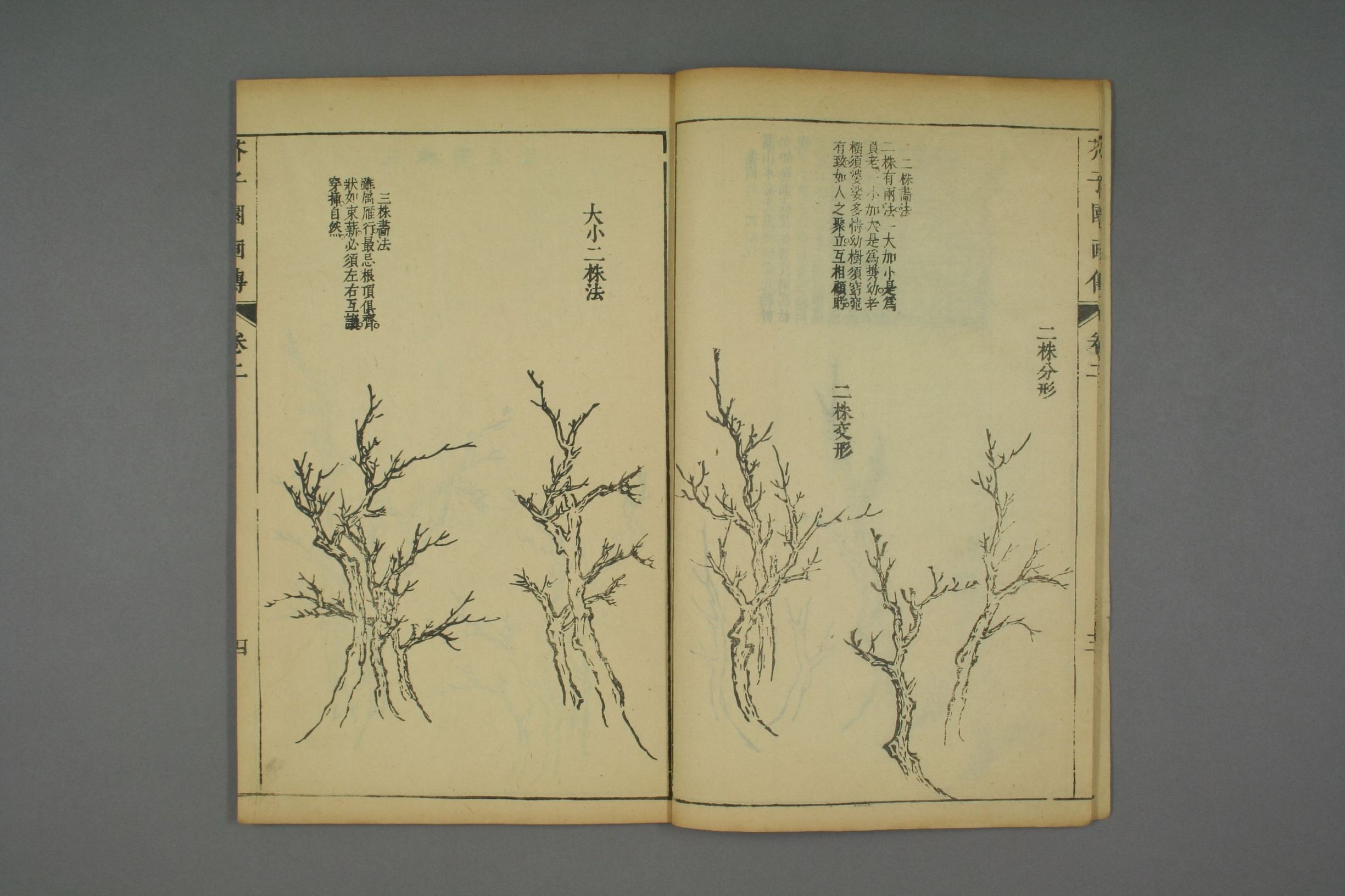 康熙原版芥子园画传全套,芥子园画传价格