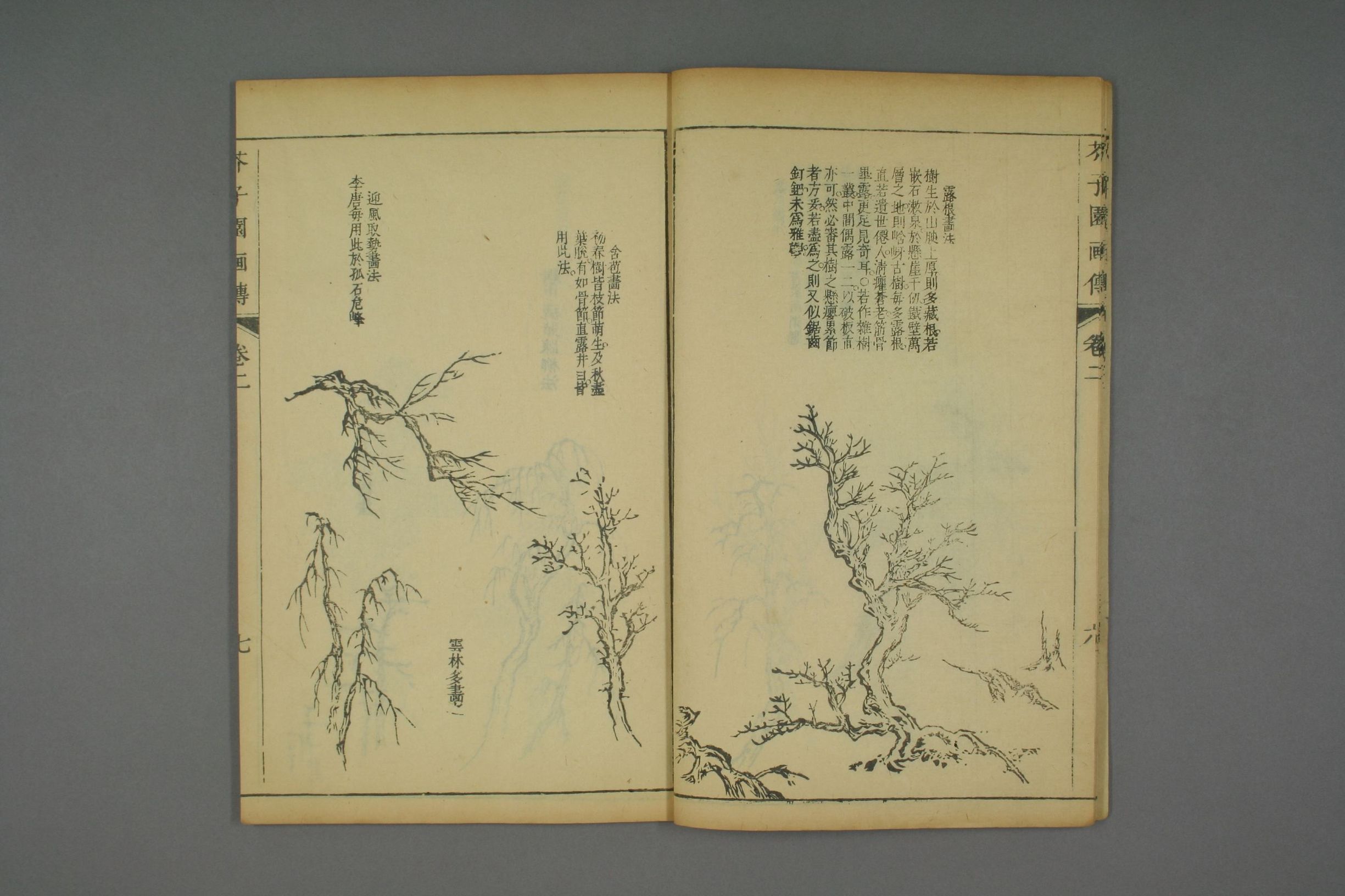 康熙原版芥子园画传全套,芥子园画传价格