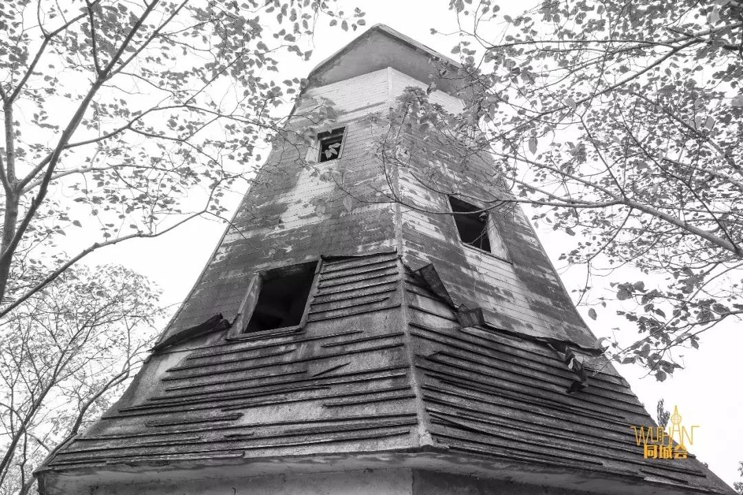 春节七天乐精彩不重样,春节7天旅游