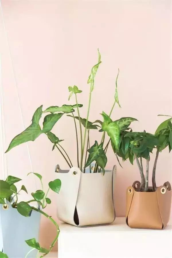 新的一年生活充满阳光,有一种生活叫有氧