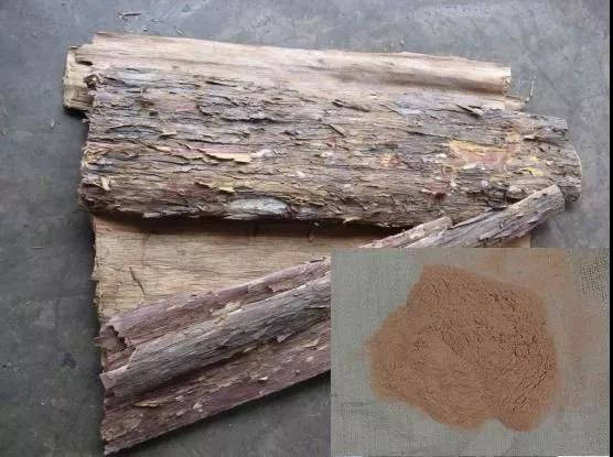 猫主子呕吐不吃饭精神不振,猫咪呕吐黄色糊状怎么治且不吃饭