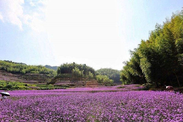 最红色的春晚,红色主题央视春晚