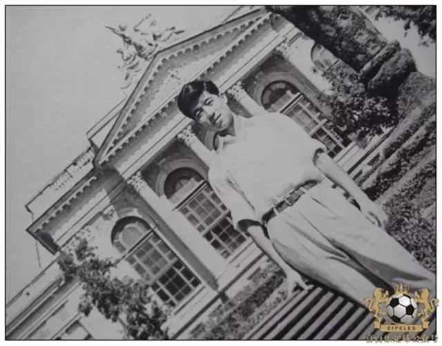 津门足坛双百颂韩金铭,津门足坛双百颂陈金刚