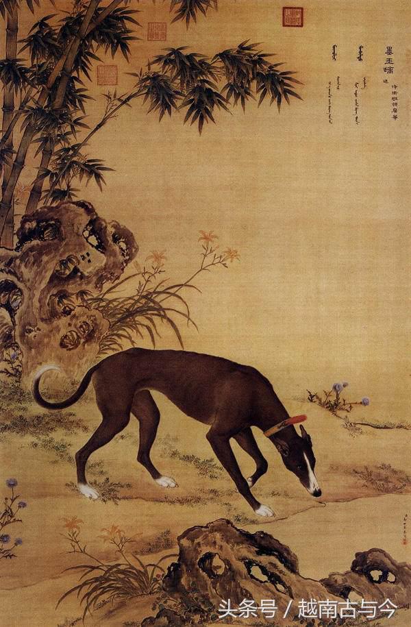 狗年说狗民间关于狗的传说,狗年说狗闲谈中国狗文化