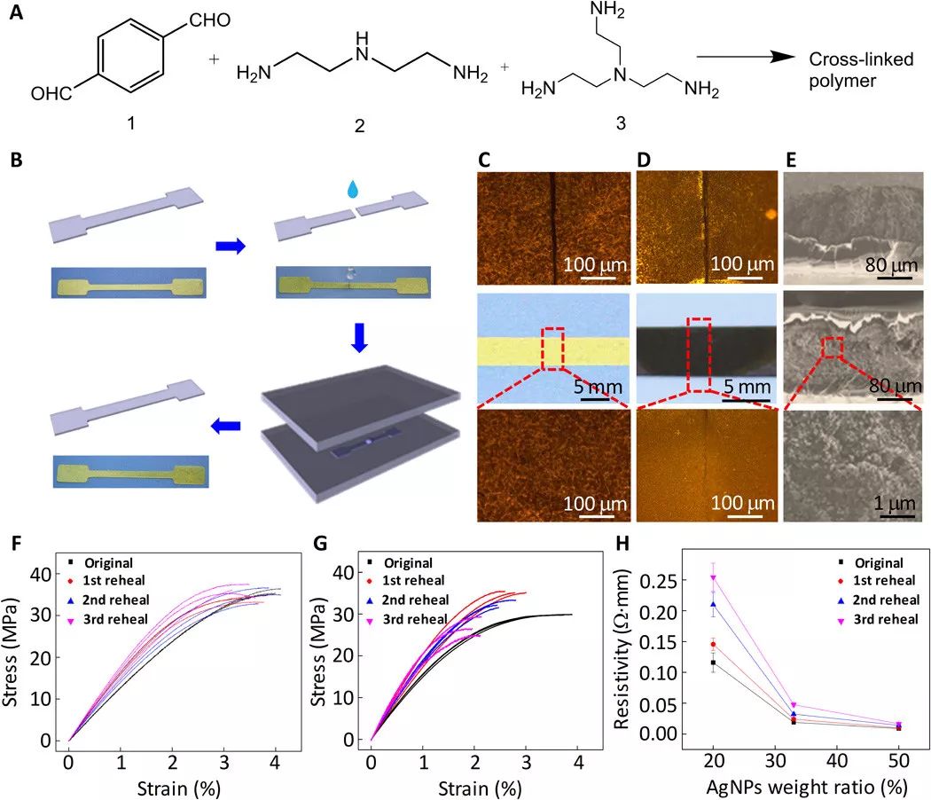 新型可穿戴式电子皮肤,电子皮肤用途广吗