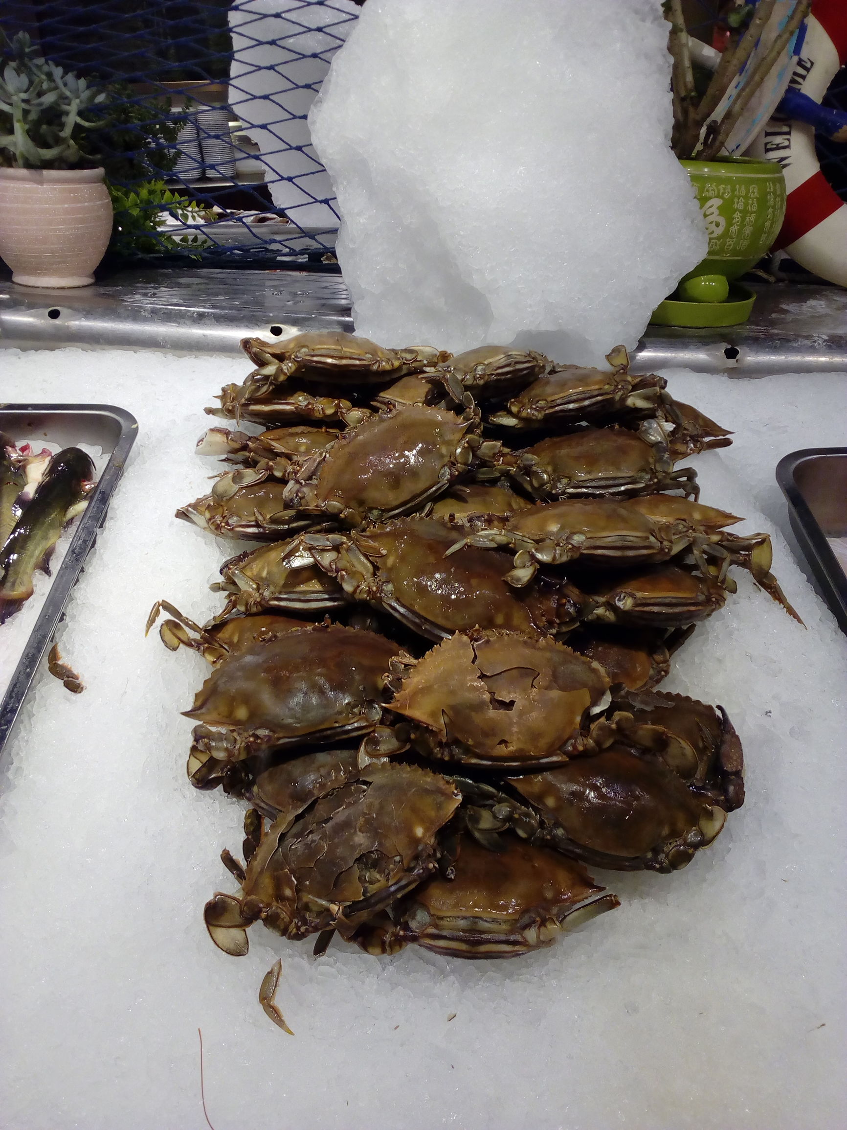 乌鲁木齐最好的自助餐带包厢,乌鲁木齐高端自助餐排行榜前十名