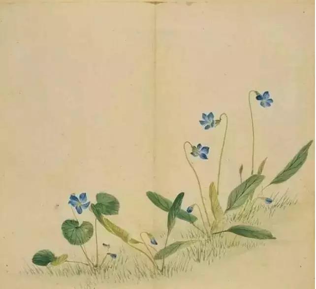 诗经中最唯美的句子爱情,诗经中的绝美句子关于爱情