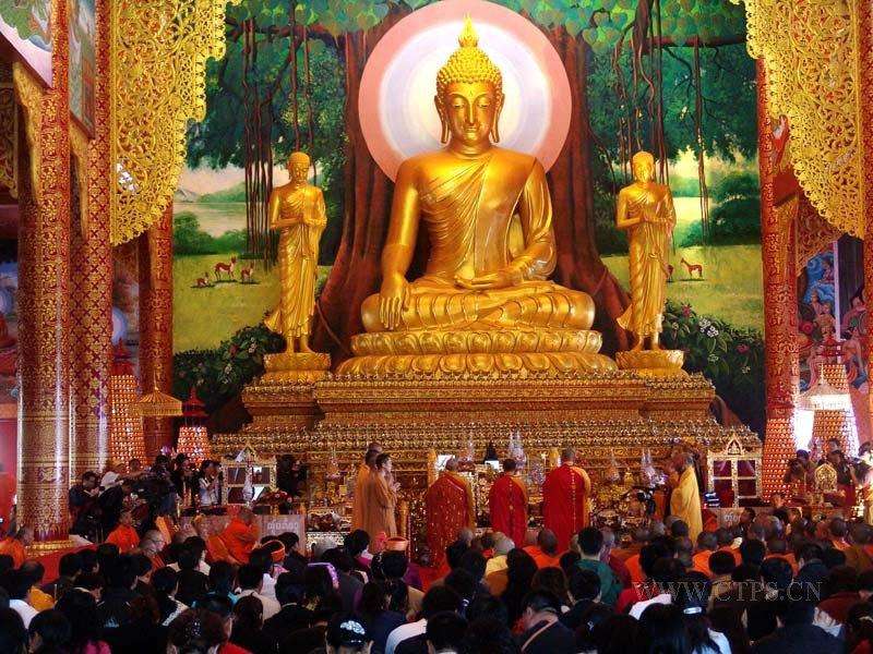 金华近期活动,金华市最新活动