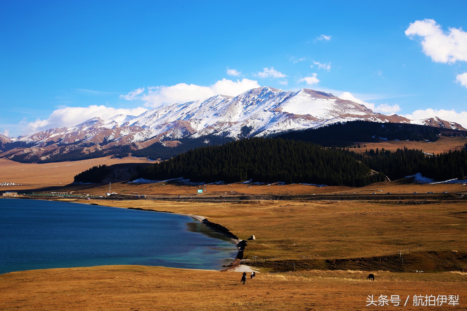美丽的赛里木湖风景图片,赛里木湖的美景