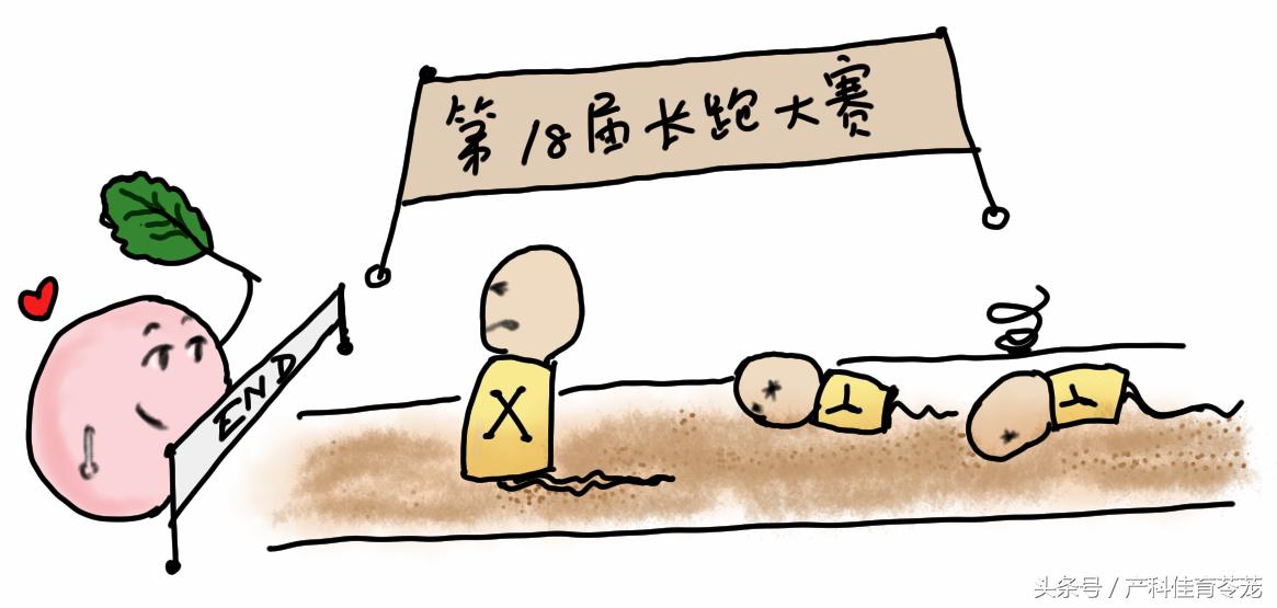 情人节送你个浪漫的礼物,情人节送你一个知心人