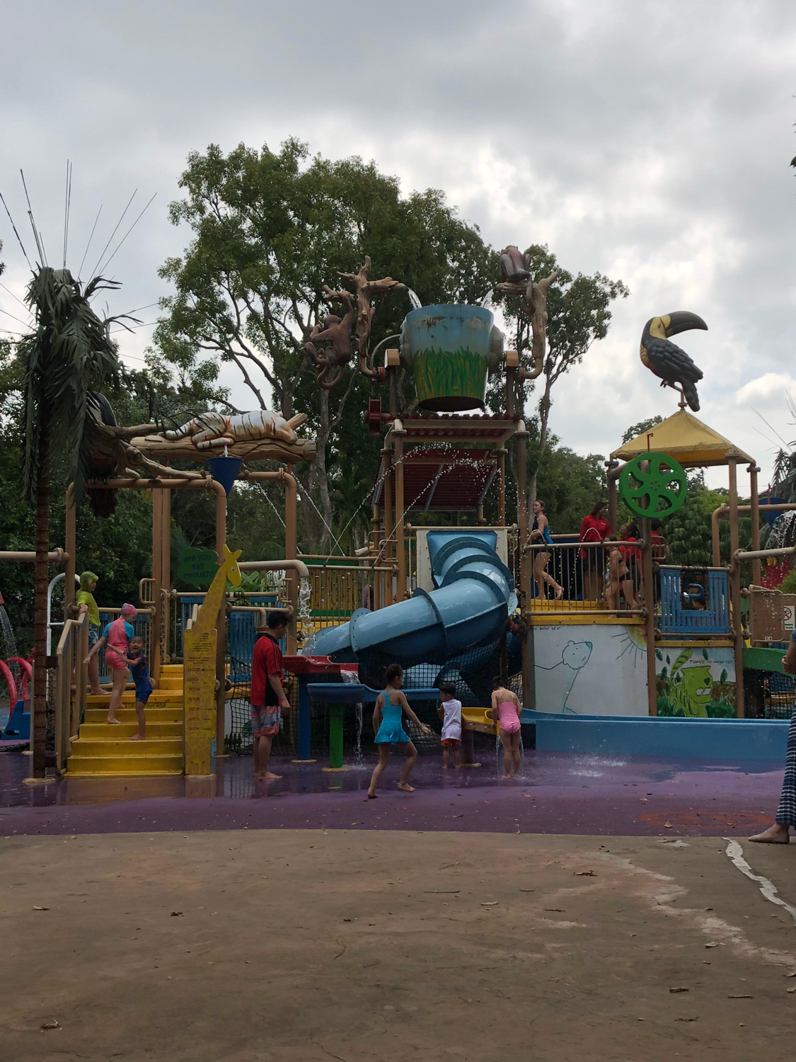 新加坡动物园哪个最值得去看,新加坡动物园自由行热门攻略