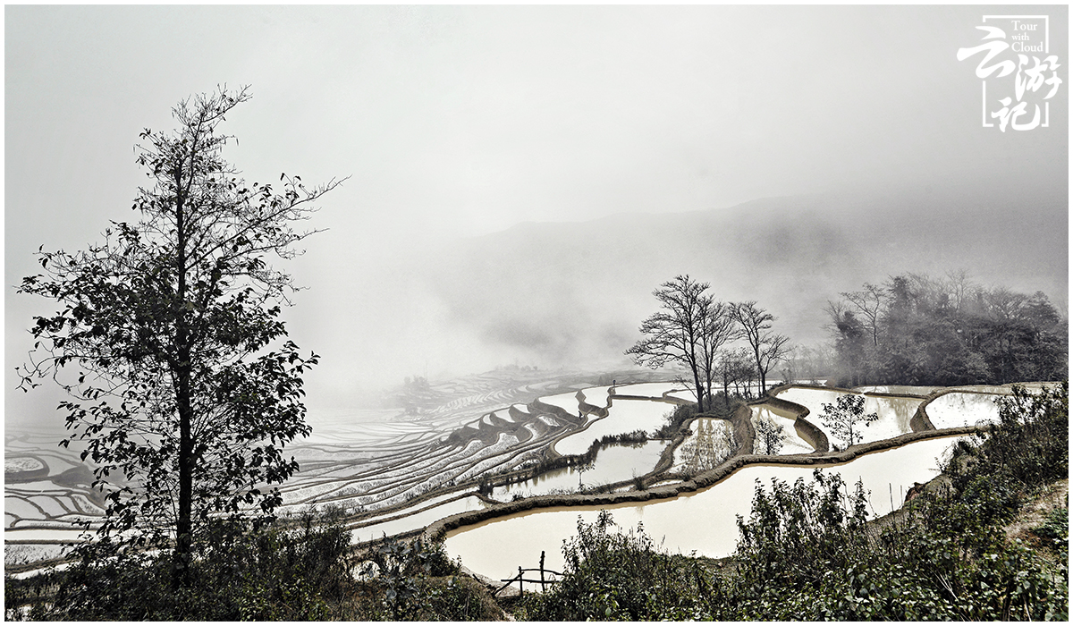 元阳梯田旅行攻略,元阳梯田自由行攻略