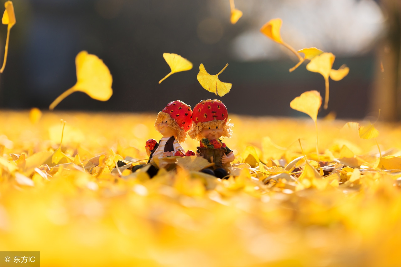 最好的誓言就是一生相伴,陪伴在我身边就是最好的誓言