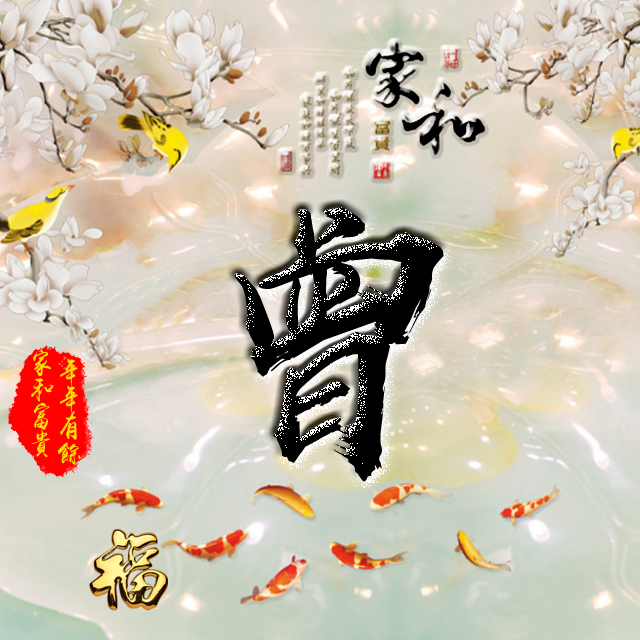 百家姓变形字体个性姓氏头像,彩字百家姓头像