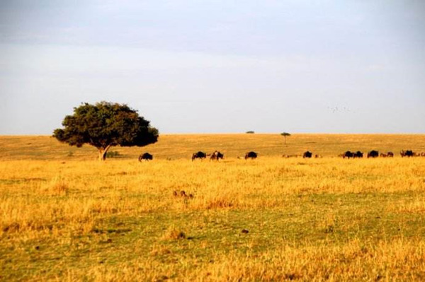 最红色的春晚,红色主题央视春晚