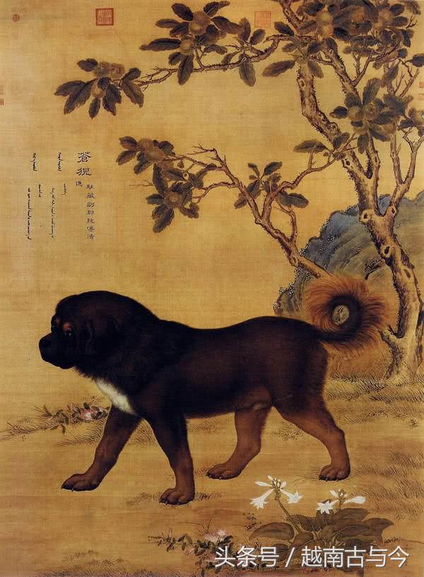 狗年说狗民间关于狗的传说,狗年说狗闲谈中国狗文化