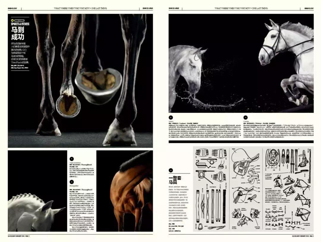 两个黄鹂鸣翠柳一行白鹭来捣乱,两个黄鹂鸣翠柳原版视频