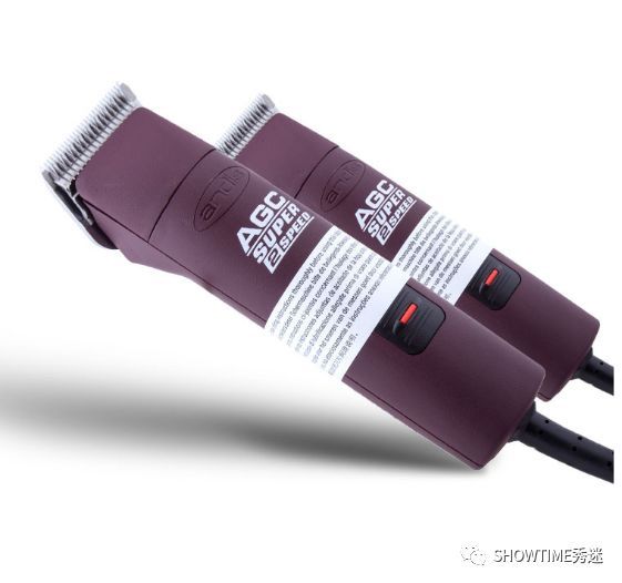 新手铲屎官养宠物该怎么办,怎么成为合格的养狗铲屎官