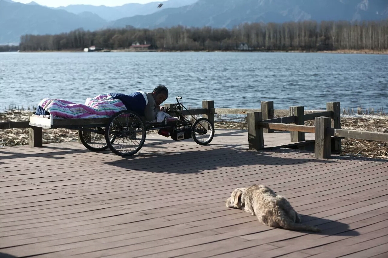 汪星人的电影完整版,十部不能错过的汪星人主题电影