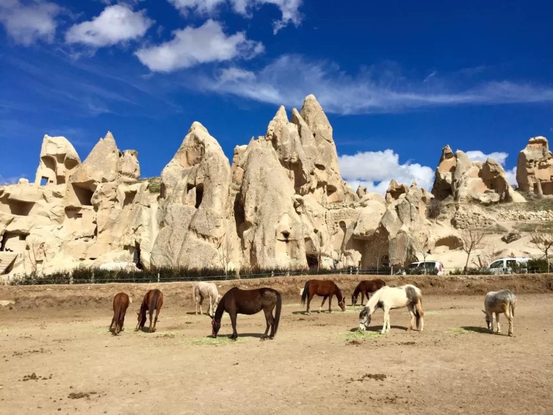 土耳其格雷梅名称,土耳其格雷梅热气球图片