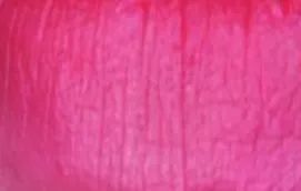 胡歌的前女友们,盘点这些年胡歌的前女友们