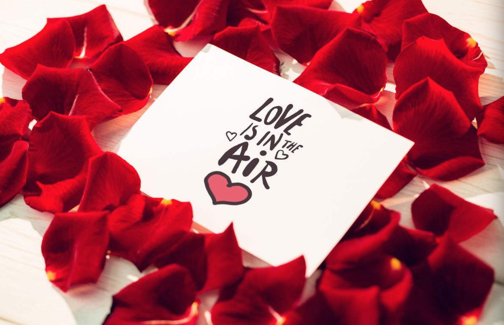 博士回村务农,博士回家当农民种植的野菜