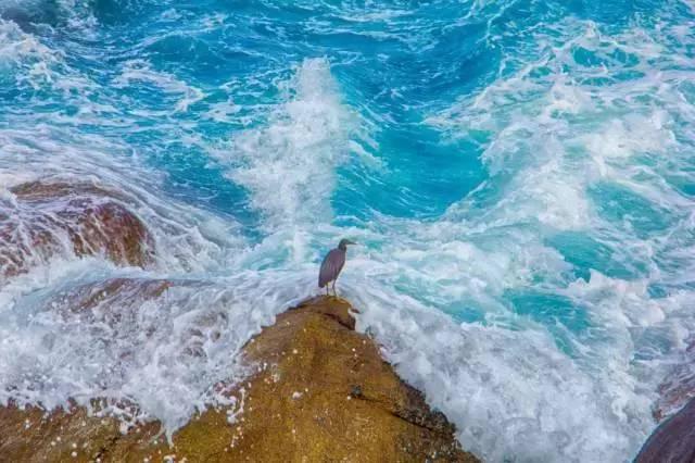 春晚四大分会场曝光,有个竟是“中国第一潜水地”!