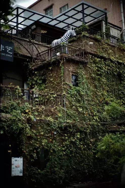 春晚四大分会场曝光,有个竟是“中国第一潜水地”!