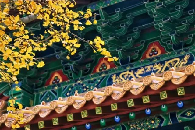 春晚四大分会场曝光,有个竟是“中国第一潜水地”!