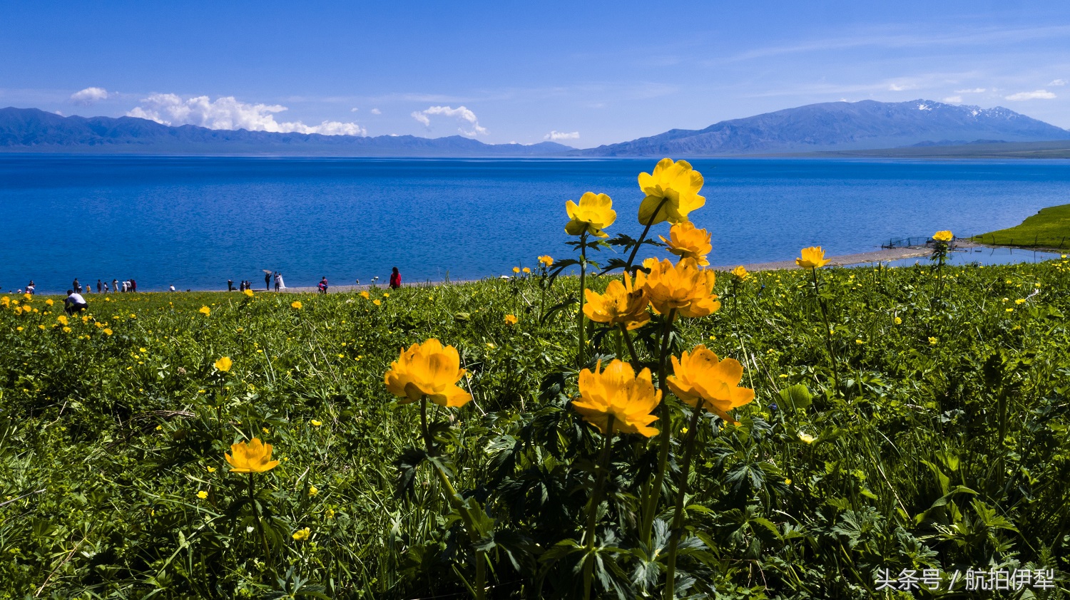 美丽的赛里木湖风景图片,赛里木湖的美景