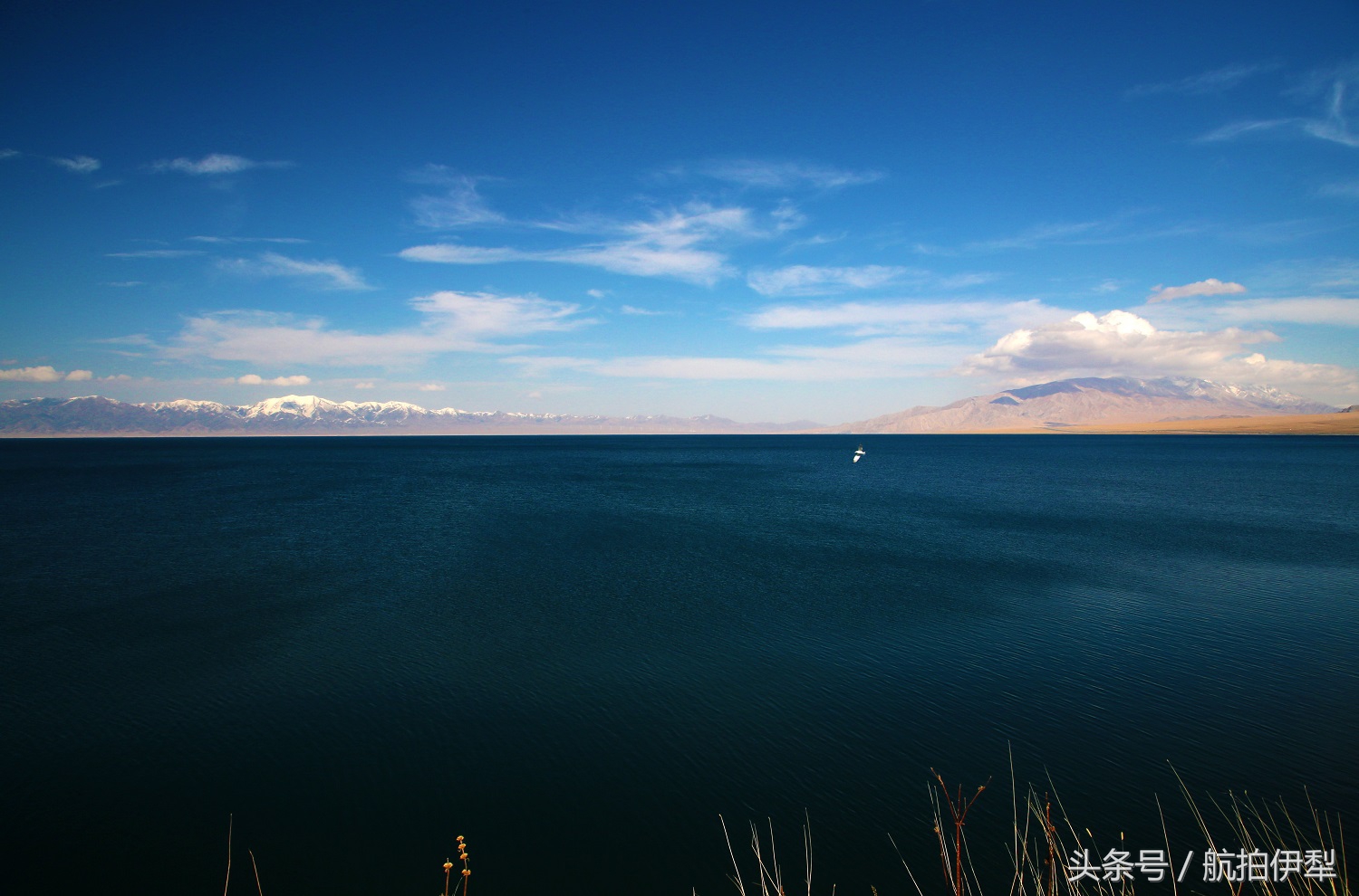美丽的赛里木湖风景图片,赛里木湖的美景