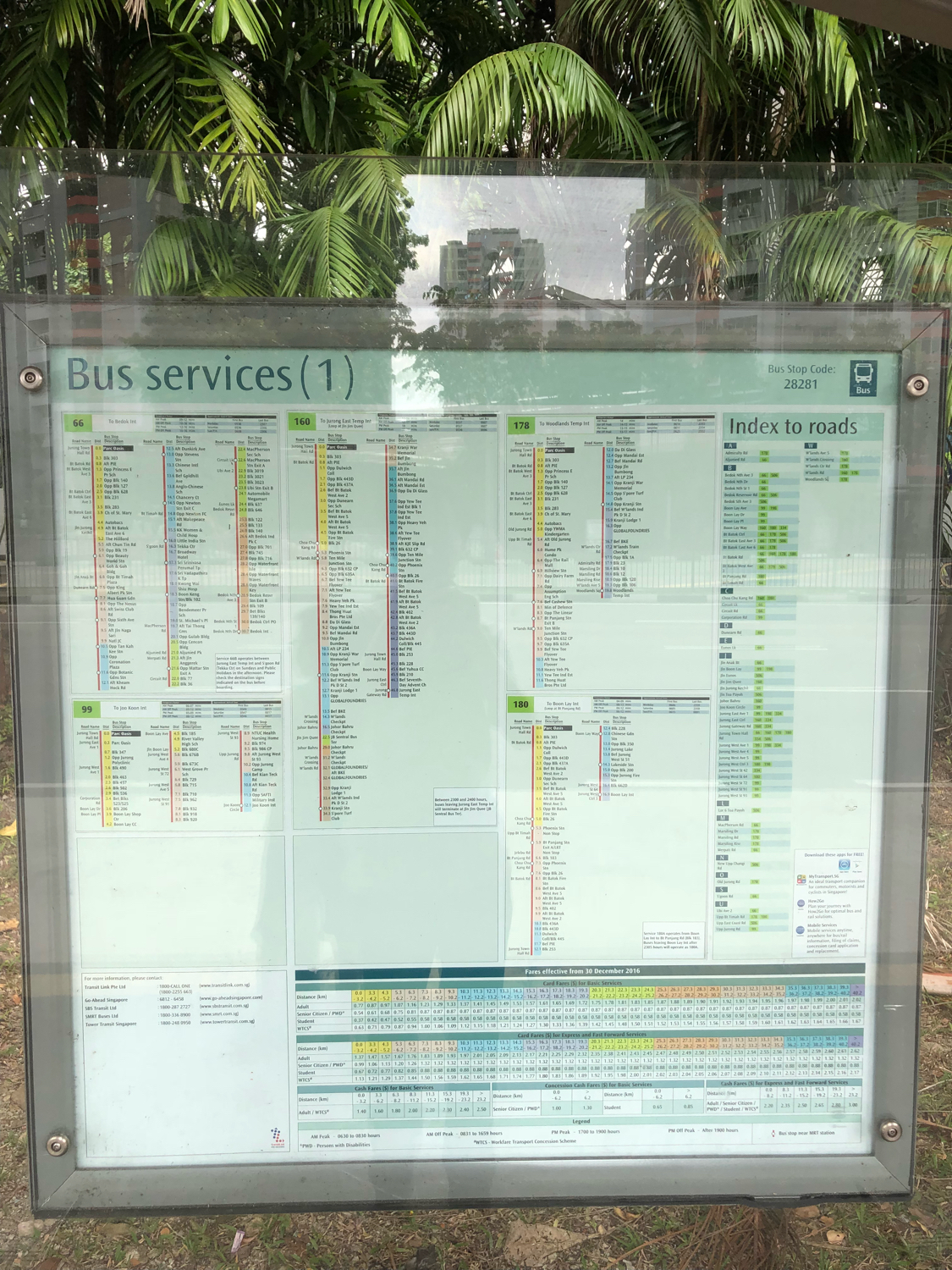 新加坡动物园哪个最值得去看,新加坡动物园自由行热门攻略