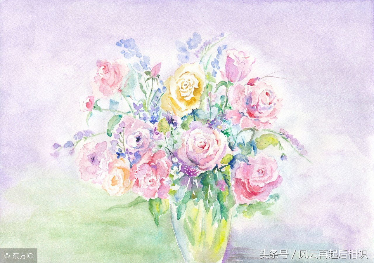 猪生肖的幸运色是什么,生肖猪2022的幸运色