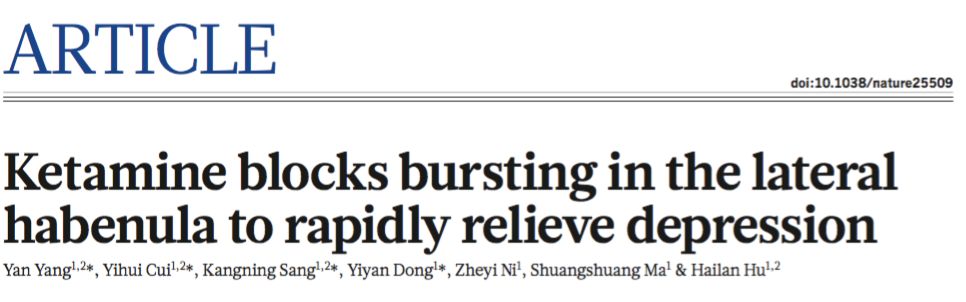 抑郁症最新科研成果,浙大nature发表论文