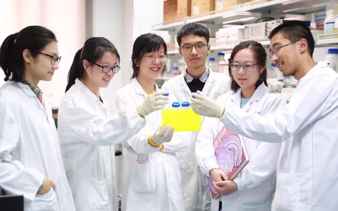 抑郁症最新科研成果,浙大nature发表论文