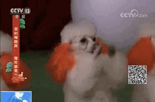 2018春晚那英王菲再度合作,春晚王菲那英节目播放了吗