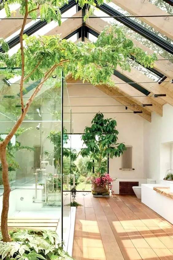 新的一年生活充满阳光,有一种生活叫有氧