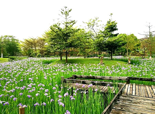 广州佛冈森波拉一日游,佛冈森波拉两日游