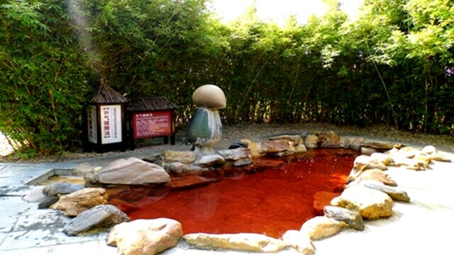 广州佛冈森波拉一日游,佛冈森波拉两日游