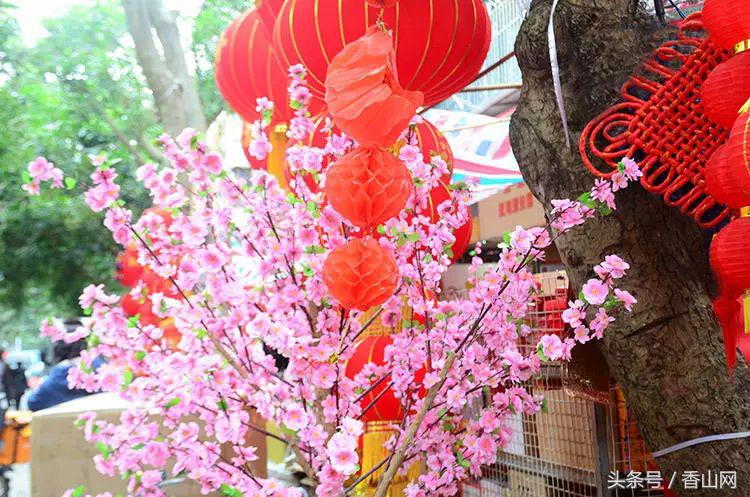 珠海闹市中破破烂烂的老街,有我儿时过年的味道