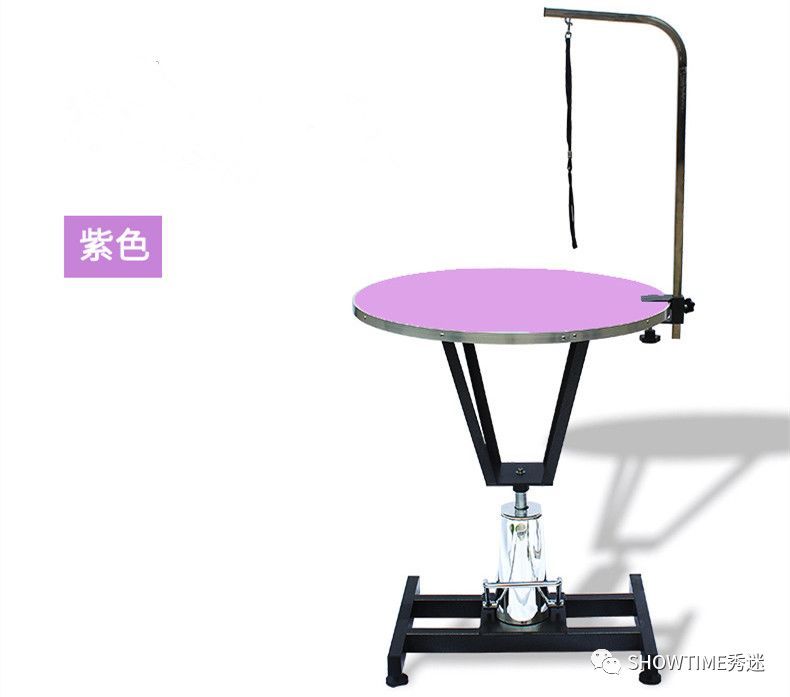 新手铲屎官养宠物该怎么办,怎么成为合格的养狗铲屎官