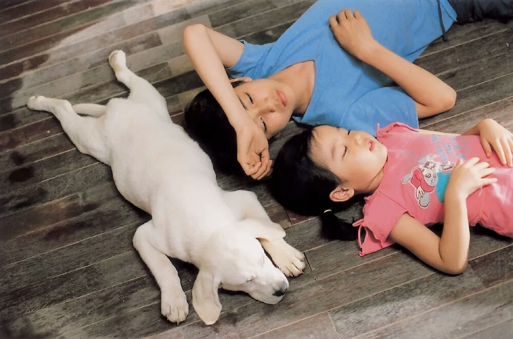 汪星人的电影完整版,十部不能错过的汪星人主题电影