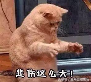 移动流量又多又划算的套餐,移动流量9元套餐官方办理